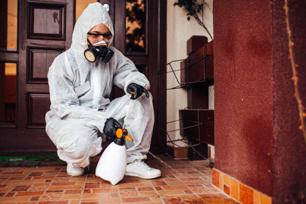 Attic and Crawl Space Rodent Treatment in Lula